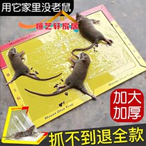 Super sticky mouse board strong glue big mouse household sticky mouse-catching mouse-repelling mouse stickers oversized