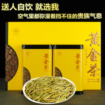 Golden Bud tea 2021 new tea Authentic Spring tea Ming Qian premium Anji white tea Green tea gift box canned