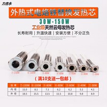 Heating core External hot soldering iron 30W40W60W80W100W150W welding gun soldering machine heating core