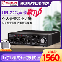 Steinberg YAMAHA YAMAHA UR12 recording sound card 22C arrangement live equipment K song arrangement 24C