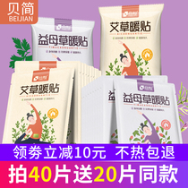 Baby warm hot stickers Warm stickers Girls period palace cold hot stickers Self-heating warm treasure stickers Warm wormwood palace warm