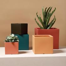 Nordic ceramic fleshy orchid square basin simple household with tray large diameter small flower pot factory direct