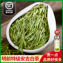 Authentic Premium 5A Anji White Tea 2021 New Tea Mingmei Golden Bud Spring Tea Bulk Tea Bulk Tea Green Tea 250g