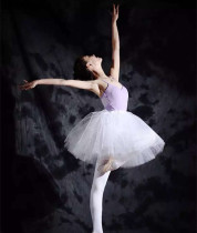 Ballet skirt adult dance performance competition Swan dance performance costume half-length skirt photo photo dress