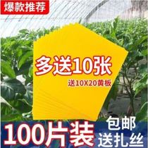 Sticky fly board strong insect trap yellow board rebound yellow double-sided cardboard vegetable garden greenhouse fruit tree tea garden fly catch