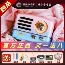 Cat King Acoustics MW-2A Rainbow Meta-Gas Wave Gradient Color Cat King Small Speaker Retro Radio Little Prince Home