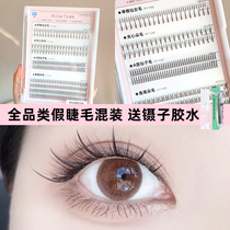 minetook full category false eyelashes mixed with single cluster grafting novice fishtail A suit sandwich lower eyelashes