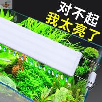 Fish tank lamps fish lights LED lights small accessories aquarium water and land night lights lighting