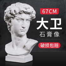 Left Painted David Plaster Statue 67CM Large number of sketches plaster Head sculptures School static equipment Writing students Model chest like European-style Decorative Pendulum plaster Like a fine art teaching aid
