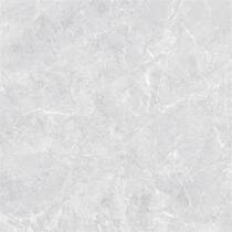 Nobel Wall Floor Tiles Roman Grey 800*800MS807806 Chengdu City Environmental Protection Explosive Floor Tiles Recommended Bricks