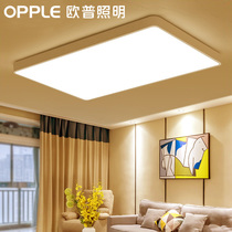  Op lighting LED ceiling lamp living room modern simple atmosphere bedroom light 2019 new whole house lighting jane fashion