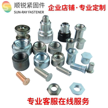 Customized non-standard riveting parts nuts screws stud posts of various materials
