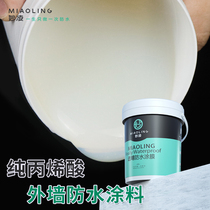 Pure acrylic waterproof coating glue exterior wall nano window sill transparent self-brushing invisible penetrant liquid water leakage blocking spirit