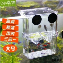 Guppy fish breeding box fish tank isolation net birth tank production box mother fish raw small fish separation delivery room large hatching net