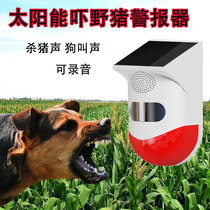 Solar warning light to scare wild boar artifact can record dog barking multi-function infrared induction sound and light alarm