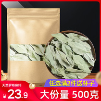 Apochus leaves soaked in water 500g g Xinjiang Chinese medicinal materials and Apochus tea official flagship store leaf tea