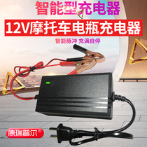 Smart 12v pedal motorcycle battery charger 12 20AH battery repair charger dry water Universal type