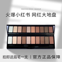 Mens eyeshadow special ten-color micro-pearl light natural beginner Boys non-matte light color beginner flagship store