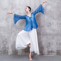 National Day 11 new classical dance clothing female adult loose elegant body rhyme gauze Chinese folk dance trumpet sleeve