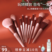 BLJ Premium Makeup Brush Set Eye Powder Highlight Blush Foundation Eye Shadow Soft Brush Full Set of Beauty Tools