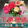 Товары от 悦淘家居用品专营店