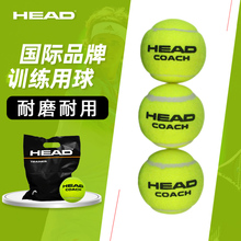 HEAD HEAD HEAD HEAD HEAD HEAD HEAD HEAD HEAD HEAD HEAD HEAD HEAD HEAD HEAD HEAD HEAD NANTIN