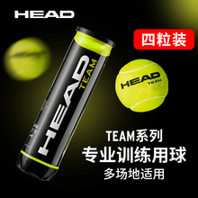 HEAD HEAD HEAD HEAD Team4 Теннисный мяч Тренировочный мяч Tour XT Профессиональный мяч