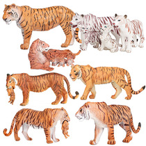 Simulation tiger toy animal model large Amur Tiger solid plastic Children boy cognitive science education gift