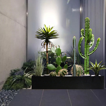Simulation Cactus Green Planting Pendulum window Indoor landscaping decoration Nordic Large plant Immortals Potted landscape