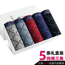 5 Dress Mens Underwear Man Triangle Pants Cotton fashion Trend Breathable Mid-Waist Loose Mid Youth Mens Underpants Autumn
