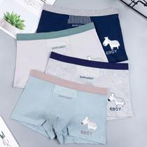 15 15-year-old underwear boy 11 14 14 13 13 12 12 years old boy middle school student cotton underpants male junior high school boy