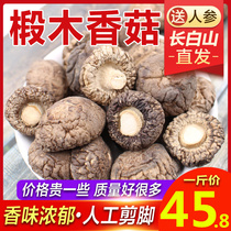 Northeast basswood small shiitake mushroom dry goods 500g household mushroom nutrition mushroom bulk non-wild Special Grade