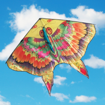 Butterfly kite adult large triangle children cartoon eagle fish breeze easy to fly 2021 new kite reel