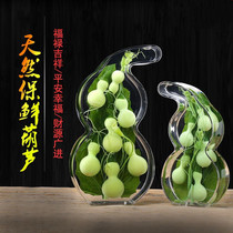 Natural gourd ornaments fresh green water hyacinth porch Boro frame craft gift living room office decoration