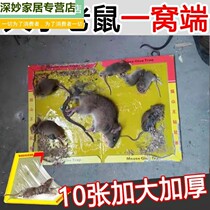 Mouse sticky strong mouse board catching sticky big mouse paste sticky glue catching Super rodent control home mouse mouse trap