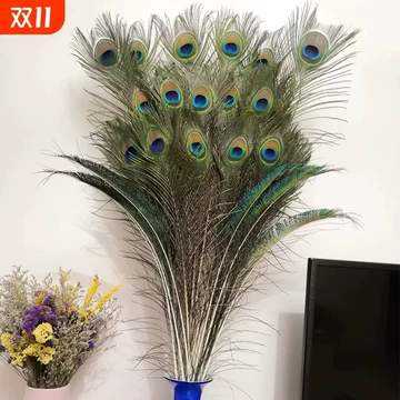 孔雀毛花瓶-孔雀毛花瓶促销价格、孔雀毛花瓶品牌- 淘宝