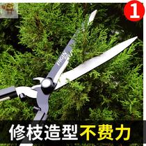 Flower tree pruning scissors scissors Holly repair Greening flower scissors fruit shears floral utensils high altitude gardening flower scissors