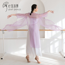 Ye Luoqing dance 2021 new national dance Chinese dance body rhyme oblique lapel yarn classical dance elegant performance suit