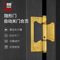 Dinglang non-slotted hinge invisible door automatic closing spring rebound door closer stainless steel female hinge hinge