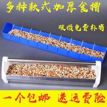 Pigeon utensil supplies Pigeon racing carrier pigeon feeding trough Feeding chicken Plastic Plastic steel Stainless steel trough feeding trough Pigeon utensil