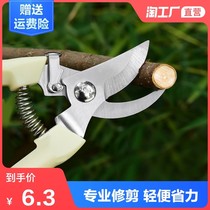 Pastoral pruning tool repair branch bonsai pruning pliers scissors fruit tree flowers and plants potted set Fruit tree pruning saw