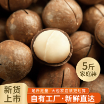 Macadamia nut cream flavor FCL 5 kg Bulk wholesale original flavor no added summer fruit 1 kg bagged nut snacks