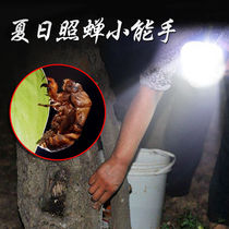 Cicada catching tools cicada catching flashlight cicada catching lamp monkey searchlight night cicada catching artifact strong light silkworm sticky cicada