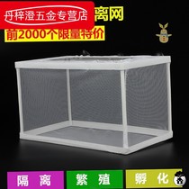 Aquarium fish egg mini parrot fish incubator breeding box protection pneumatic New zebra isolation net Independent