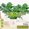 Товары от 梵花拾光旗舰店