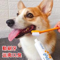 Dog toothbrush toothpaste set pet toothpaste Koji brushing teeth deodorant products to calculus soft hair finger cover