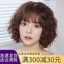 Wig Womens short hair micro-curl short curly hair Wool roll wig set Womens real hair fluffy natural real hair full headgear