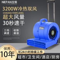 Nirvana Blow Ground Machine Commercial High Power Dry Hot And Cold Hair Dryer Carpet Toilet Ground Floor Dehumidification Blow-drying Machine