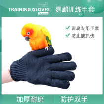 Parrot anti-bite wire gloves pet bird feeding medicine cutting feathers and flying training gloves for catching birds