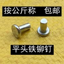 GB109 flat head solid iron rivet galvanized flat head knock type rivet M3M4M5M6M8 Factory Direct